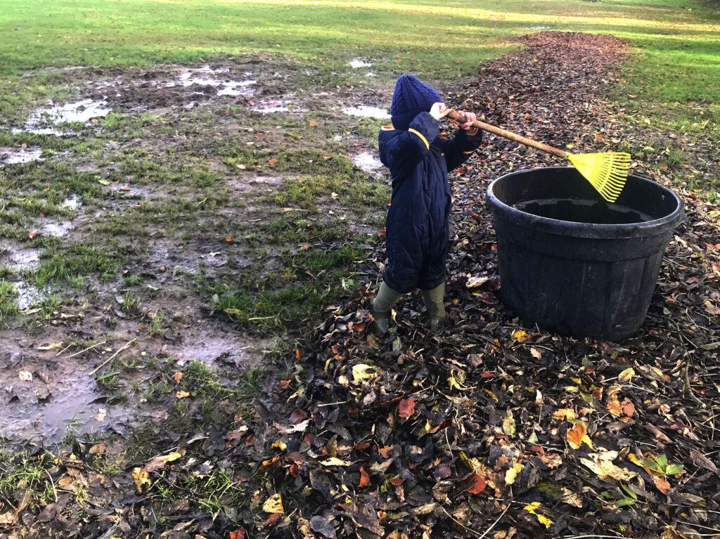 Raking Leaves