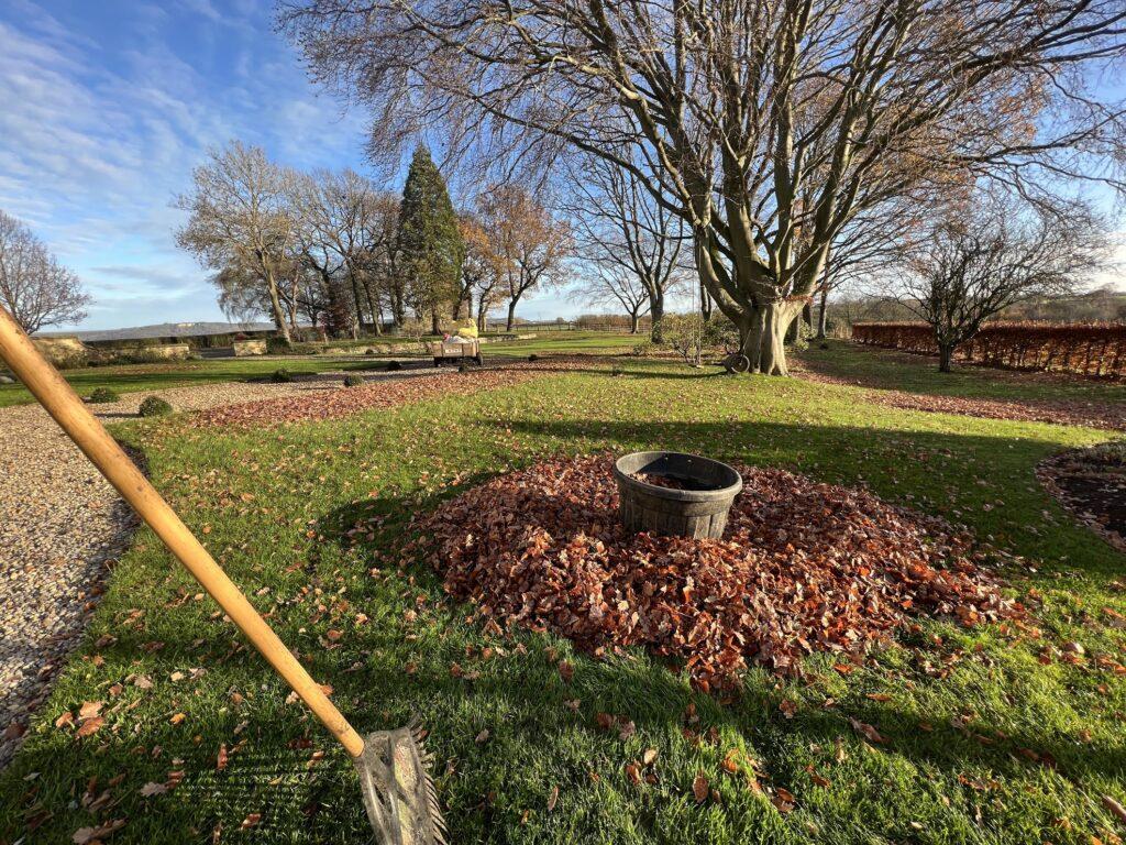 Leaf Clearance